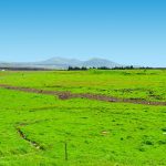 חוויה קולינרית בלתי נשכחת בשווקים של תל אביב