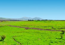 חוויה קולינרית בלתי נשכחת בשווקים של תל אביב
