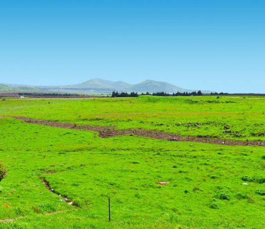 חוויה קולינרית בלתי נשכחת בשווקים של תל אביב