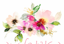 הסטודיו של נסיה: לצלם את החיים כפי שהם – אמנות, רגש וזיכרון בלתי נשכח הסטודיו של נסיה