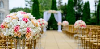 הפקת תערוכות עם מישל ברדוגו – הדרך להצלחה הפקת אירועים